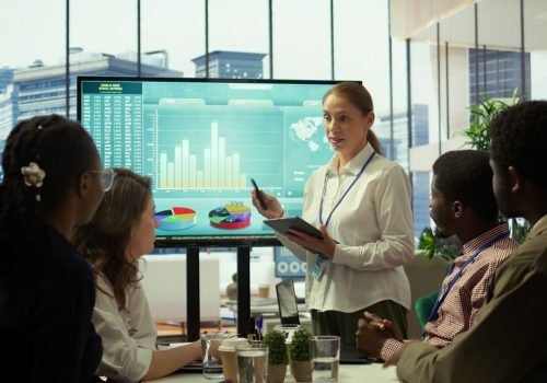 Project Management Consulting (PMO)